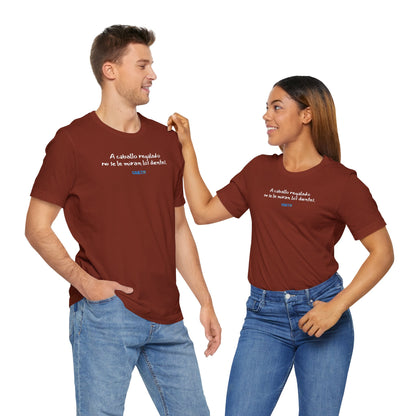 A caballo regalado no se le miran los dientes - Unisex Jersey Tee